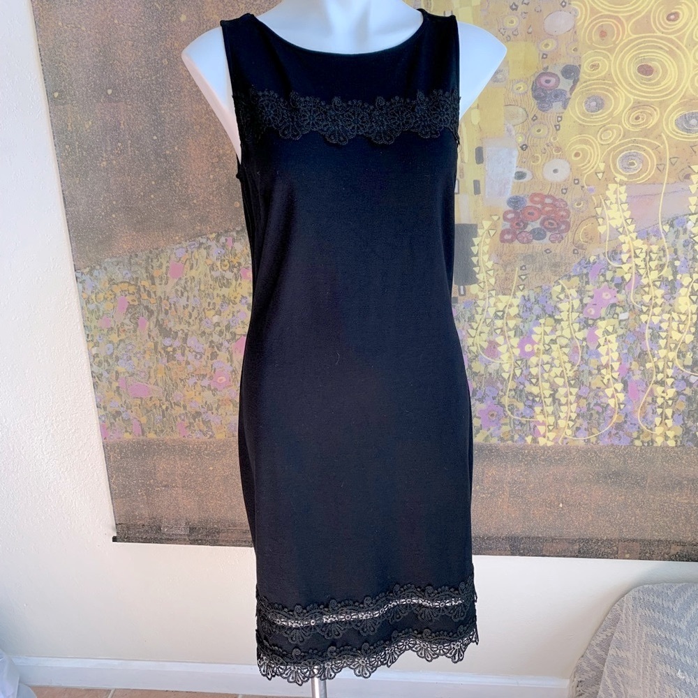 The Limited Beautiful lace detailed dress. - Picture 1 of 7